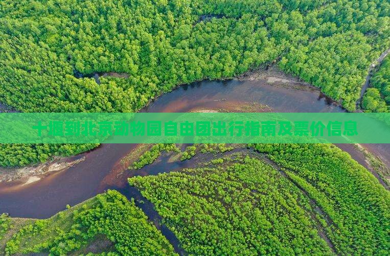 十堰到北京动物园自由团出行指南及票价信息