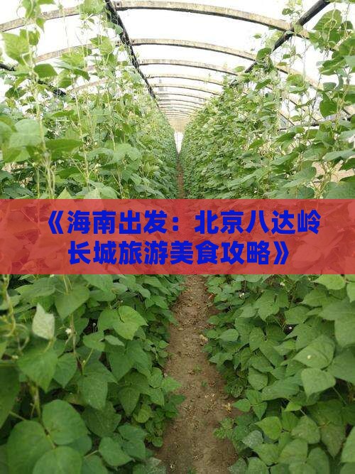《海南出发：北京八达岭长城旅游美食攻略》