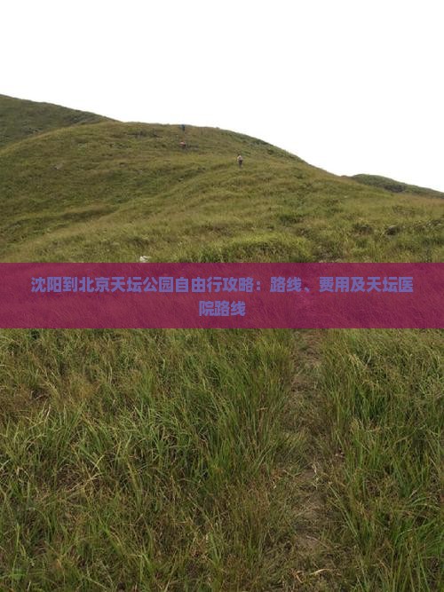 沈阳到北京天坛公园自由行攻略：路线、费用及天坛医院路线
