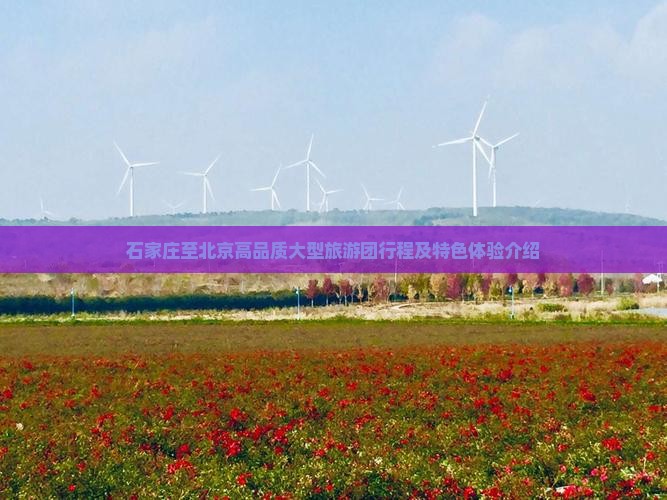 石家庄至北京高品质大型旅游团行程及特色体验介绍