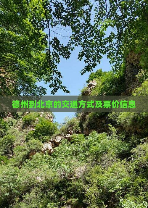 德州到北京的交通方式及票价信息