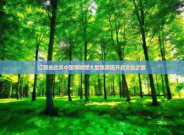 辽阳去北京中国博物馆大型旅游团开启文化之旅