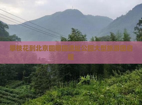 攀枝花到北京圆明园遗址公园大型旅游团启程