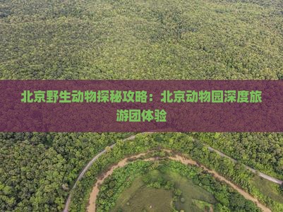 北京野生动物探秘攻略：北京动物园深度旅游团体验