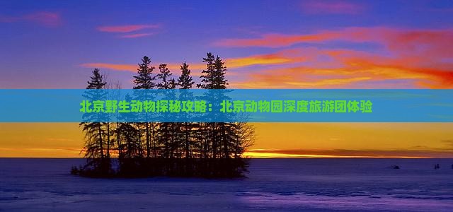 北京野生动物探秘攻略：北京动物园深度旅游团体验