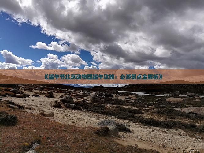 《端午节北京动物园端午攻略：必游景点全解析》
