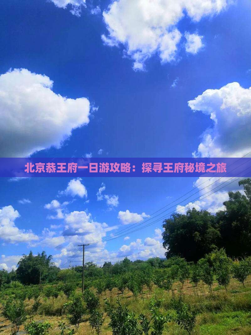 北京恭王府一日游攻略：探寻王府秘境之旅
