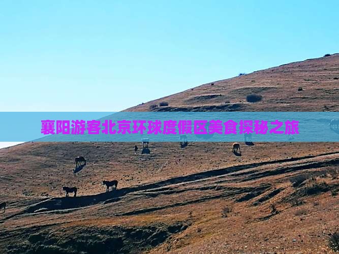 襄阳游客北京环球度假区美食探秘之旅
