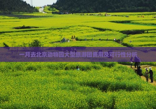 一月去北京动物园大型旅游团费用及可行性分析