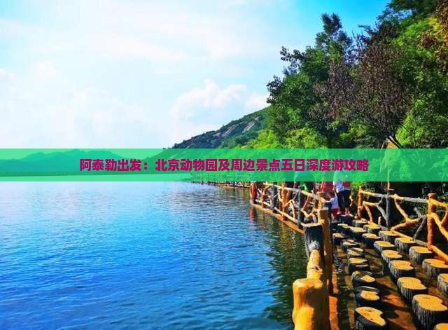 阿泰勒出发：北京动物园及周边景点五日深度游攻略