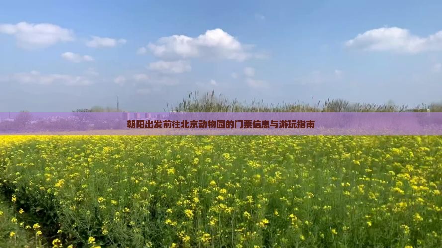 朝阳出发前往北京动物园的门票信息与游玩指南