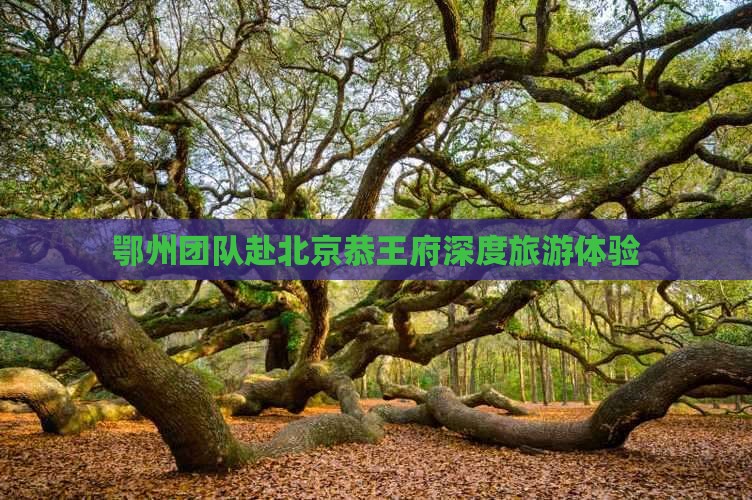 鄂州团队赴北京恭王府深度旅游体验