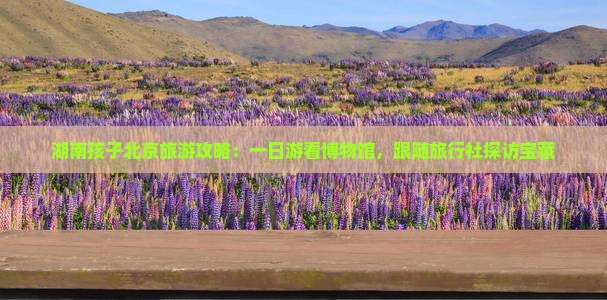 湖南孩子北京旅游攻略：一日游看博物馆，跟随旅行社探访宝藏