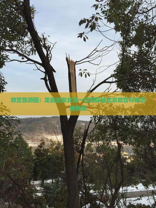 故宫旅游团：龙岩出发北京一日游探秘北京故宫与故宫博物院