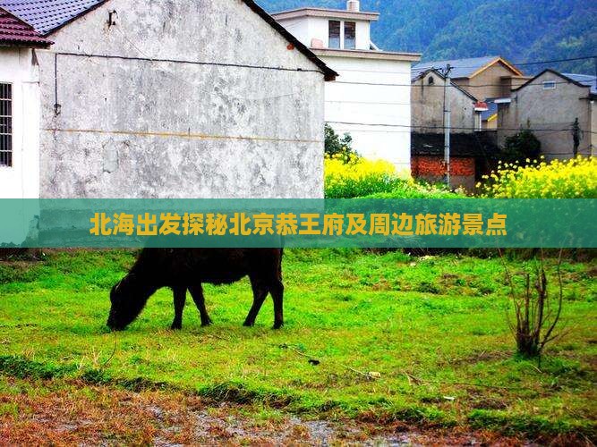 北海出发探秘北京恭王府及周边旅游景点
