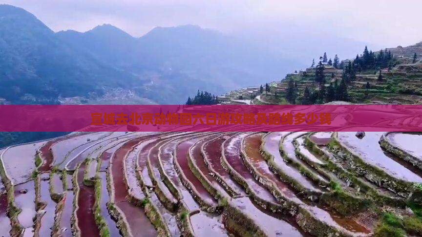 宣城去北京动物园六日游攻略及路线多少钱