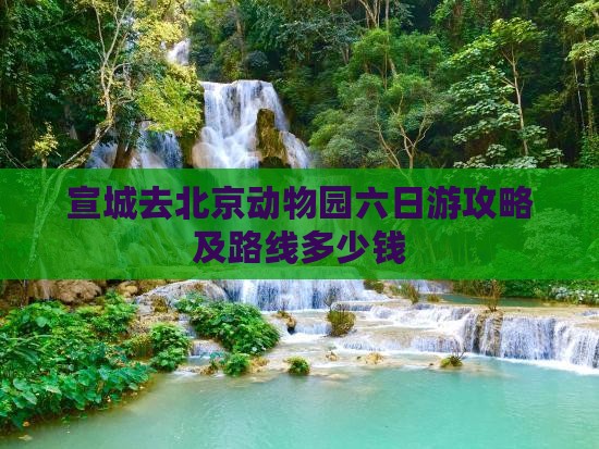 宣城去北京动物园六日游攻略及路线多少钱