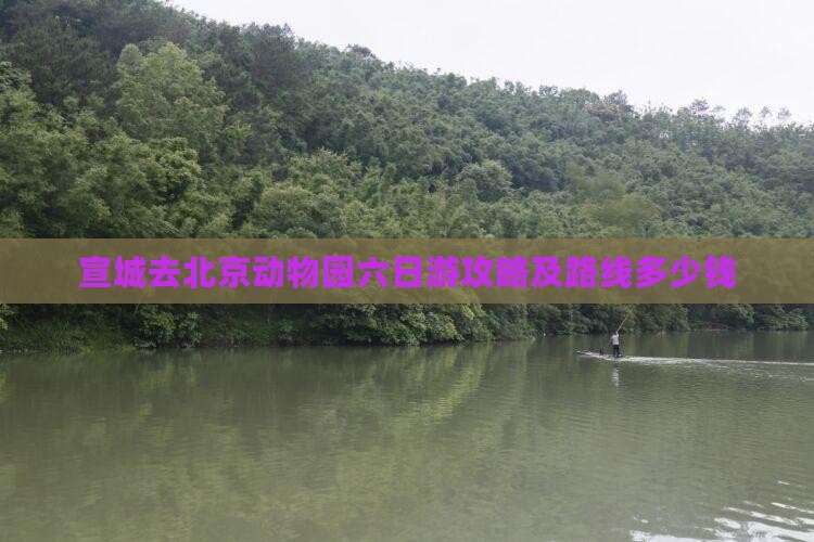 宣城去北京动物园六日游攻略及路线多少钱