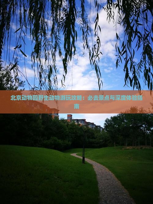 北京动物园野生动物游玩攻略：必去景点与深度体验指南