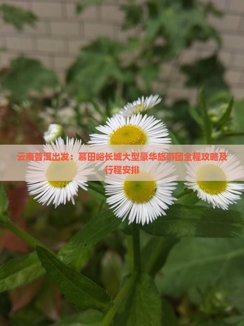 云南普洱出发：慕田峪长城大型豪华旅游团全程攻略及行程安排