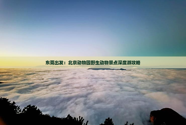 东莞出发：北京动物园野生动物景点深度游攻略