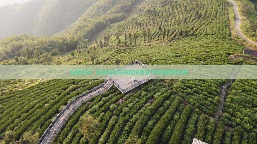 汕尾出发：探秘北京环球度假区豪华旅游团全攻略