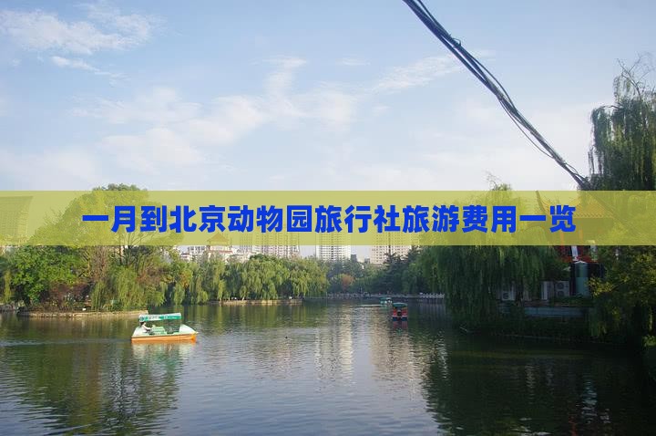 一月到北京动物园旅行社旅游费用一览