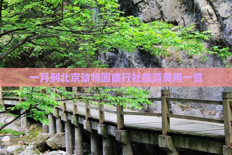 一月到北京动物园旅行社旅游费用一览