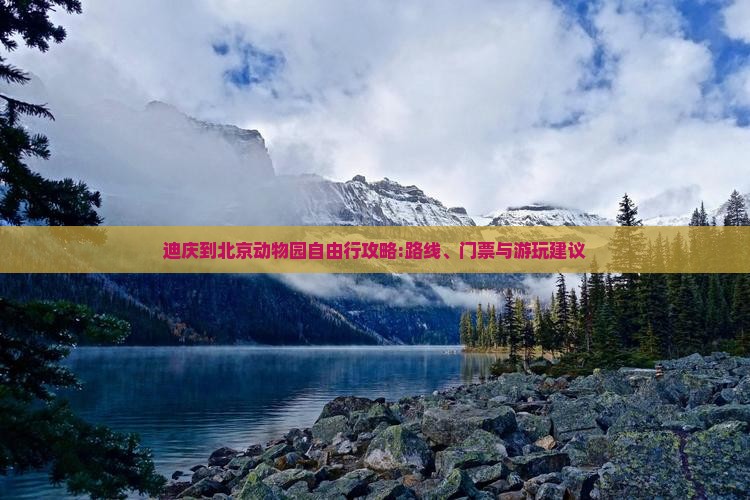 迪庆到北京动物园自由行攻略:路线、门票与游玩建议