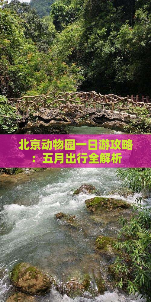北京动物园一日游攻略：五月出行全解析