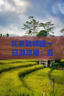 北京动物园一日游攻略：五月出行全解析