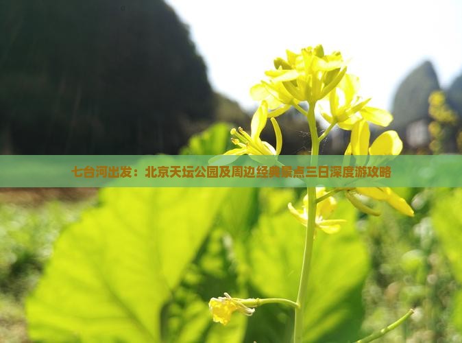 七台河出发：北京天坛公园及周边经典景点三日深度游攻略