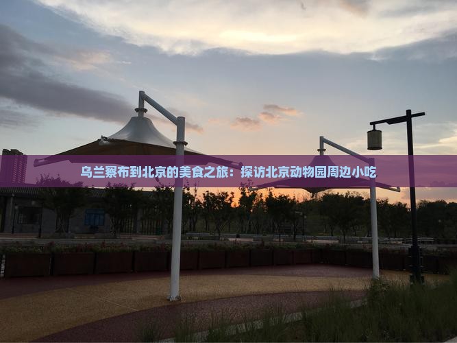 乌兰察布到北京的美食之旅：探访北京动物园周边小吃