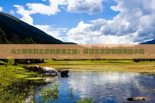 乌兰察布到北京的美食之旅：探访北京动物园周边小吃
