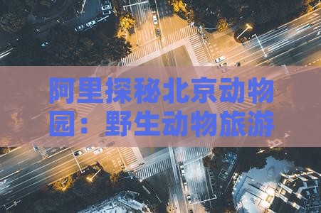 阿里探秘北京动物园：野生动物旅游攻略