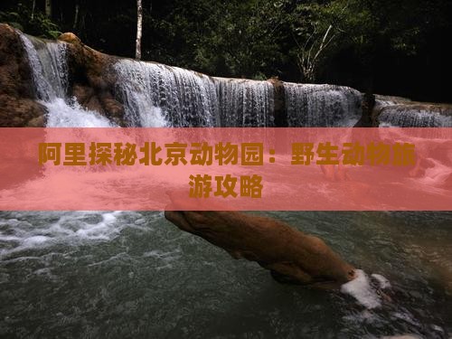 阿里探秘北京动物园：野生动物旅游攻略