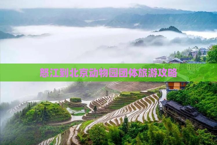 怒江到北京动物园团体旅游攻略
