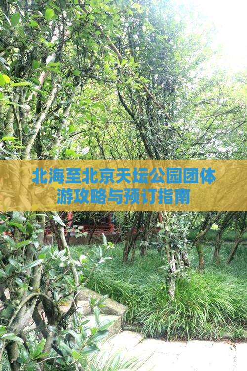 北海至北京天坛公园团体游攻略与预订指南