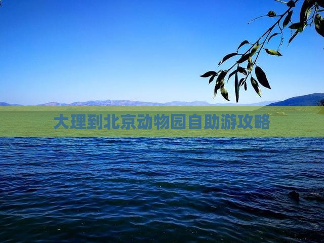 大理到北京动物园自助游攻略
