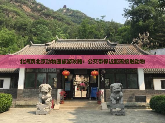 北海到北京动物园旅游攻略：公交带你近距离接触动物