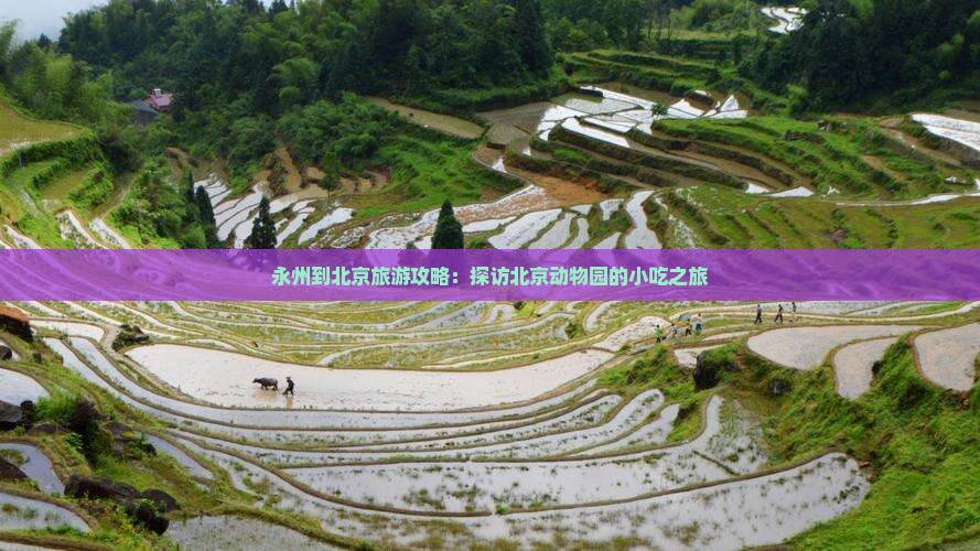 永州到北京旅游攻略：探访北京动物园的小吃之旅