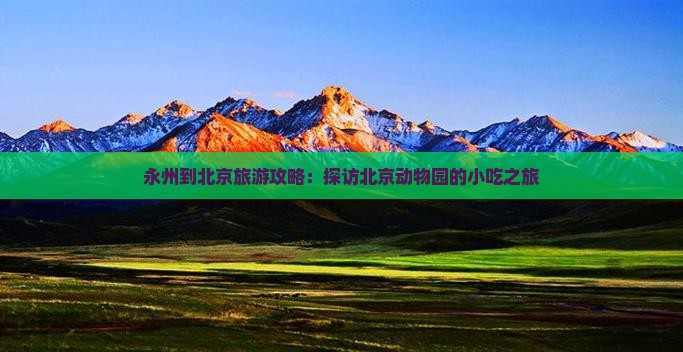 永州到北京旅游攻略：探访北京动物园的小吃之旅