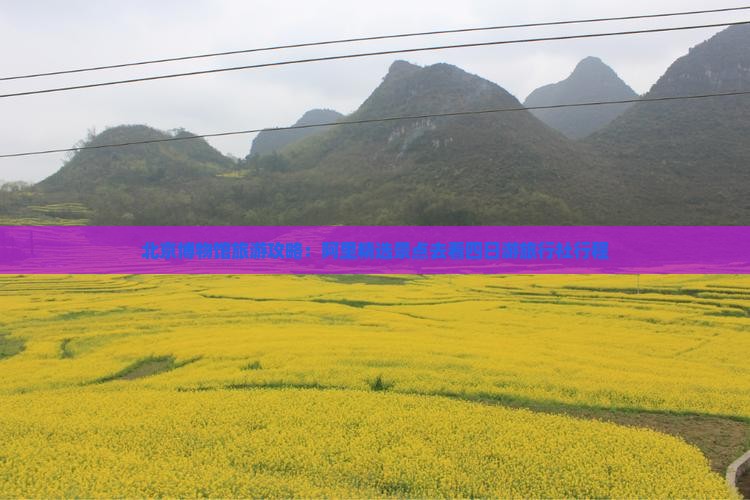 北京博物馆旅游攻略：阿里精选景点去看四日游旅行社行程