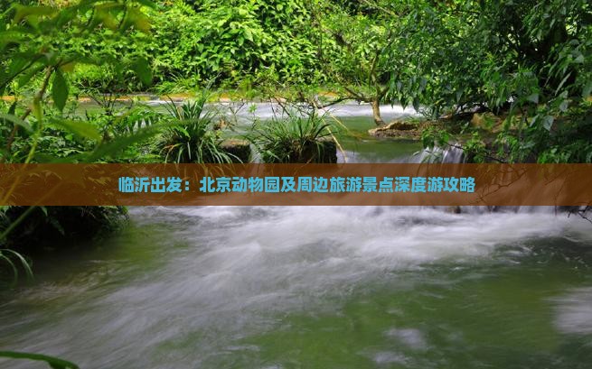 临沂出发：北京动物园及周边旅游景点深度游攻略
