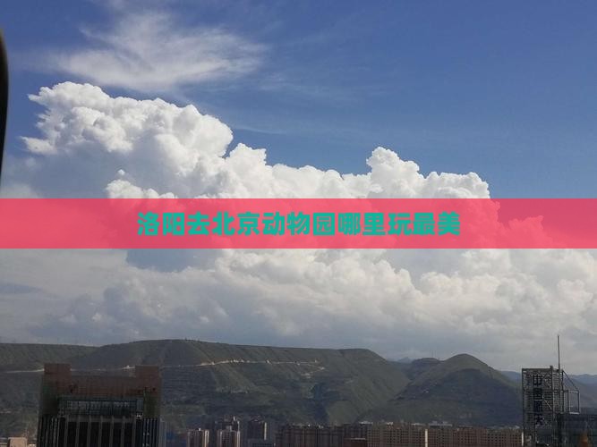 洛阳去北京动物园哪里玩最美