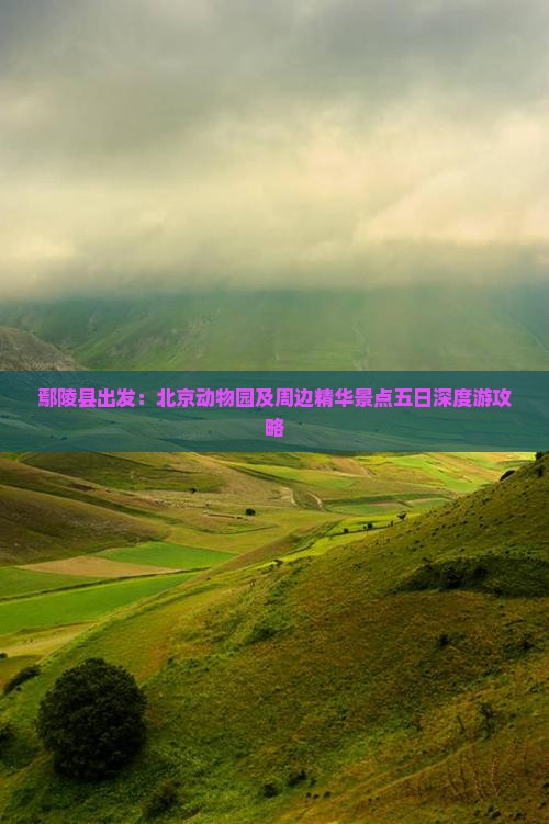 鄢陵县出发：北京动物园及周边精华景点五日深度游攻略