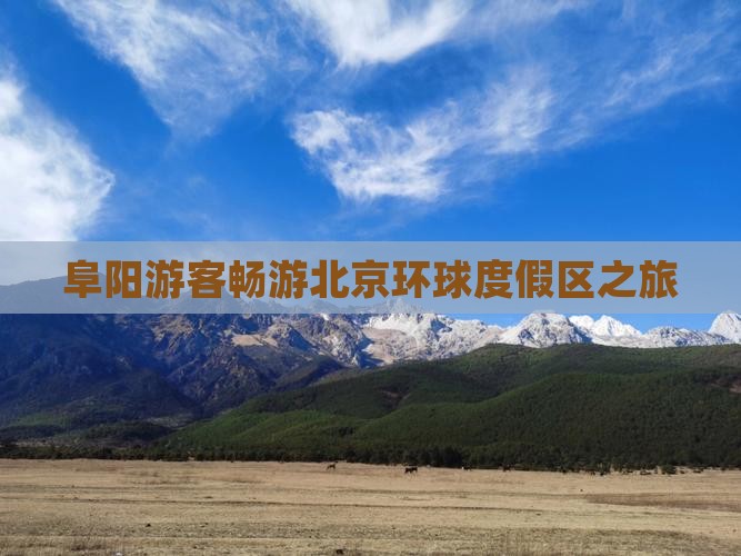 阜阳游客畅游北京环球度假区之旅