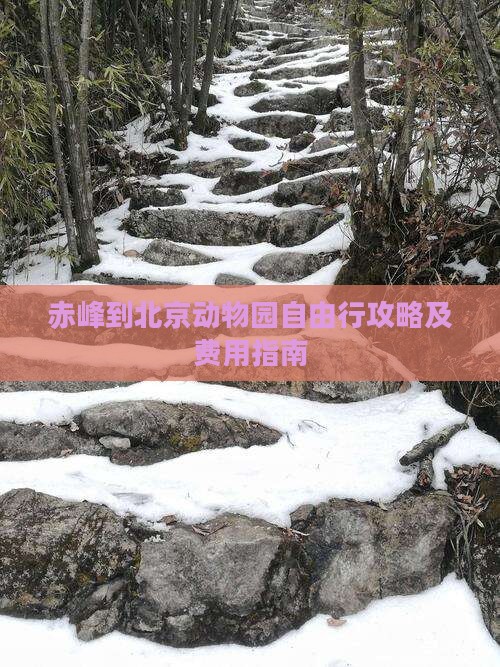 赤峰到北京动物园自由行攻略及费用指南