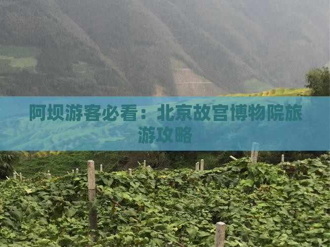 阿坝游客必看：北京故宫博物院旅游攻略