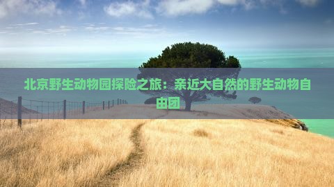 北京野生动物园探险之旅：亲近大自然的野生动物自由团